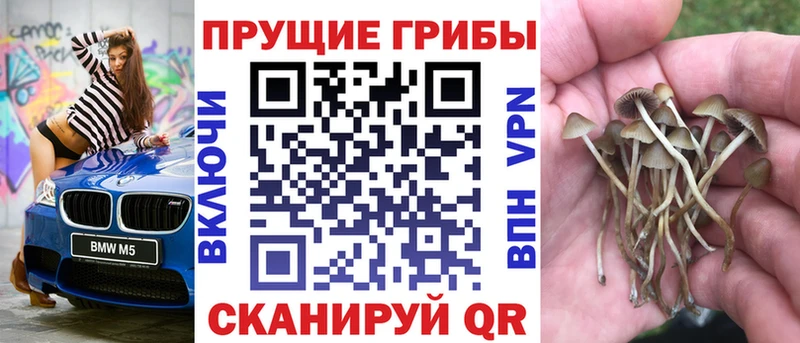 что такое   Когалым  Псилоцибиновые грибы Magic Shrooms 