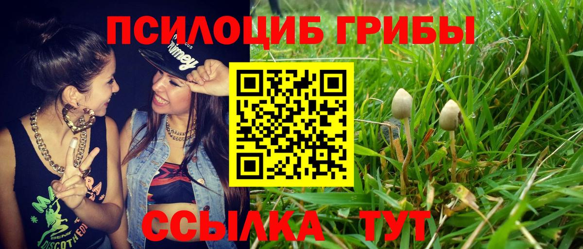 Когалым  Галлюциногенные грибы прущие грибы  Вход с VPN  Галлюциногенные грибы MAGIC MUSHROOMS 